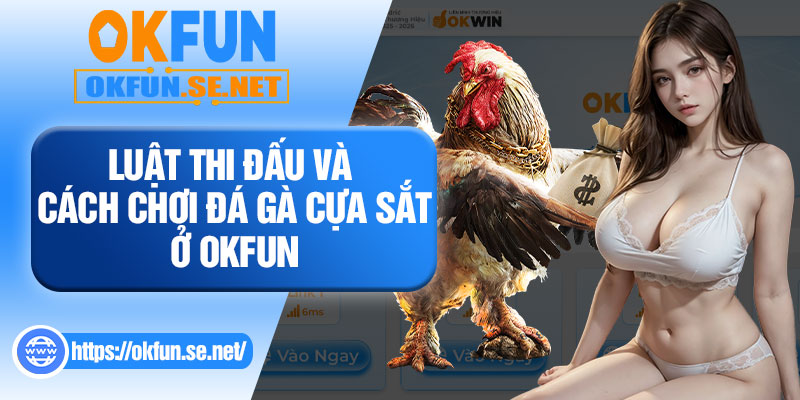 Luật Thi Đấu Và Cách Chơi Đá Gà Cựa Sắt Ở OKFUN