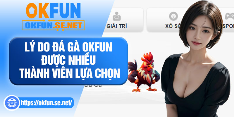 Lý Do Đá Gà OKFUN Được Nhiều Thành Viên Lựa Chọn