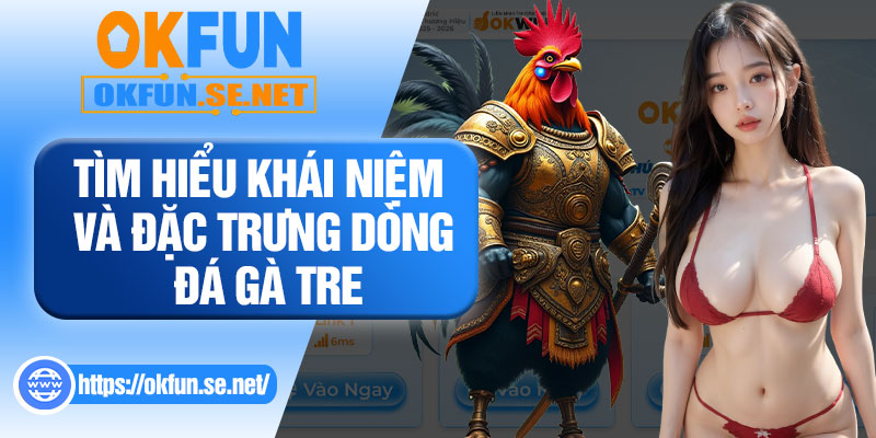 Tìm Hiểu Khái Niệm Và Đặc Trưng Dòng Đá Gà Tre