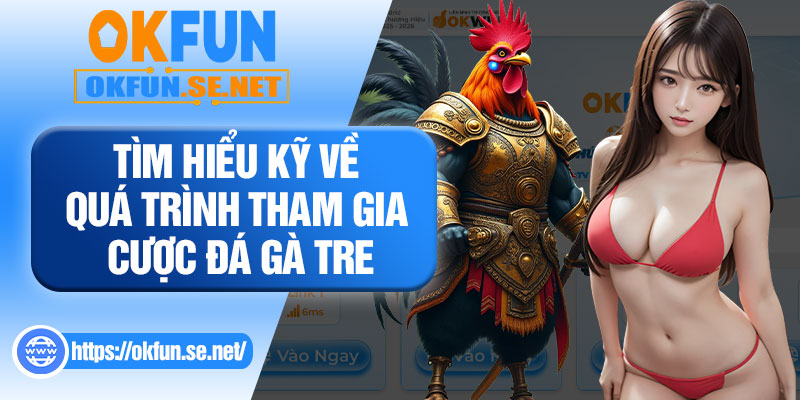 Tìm Hiểu Kỹ Về Quá Trình Tham Gia Cược Đá Gà Tre