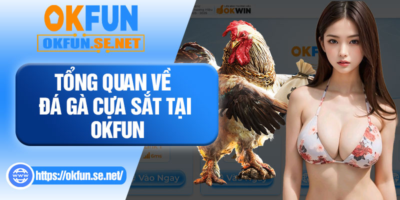 Tổng Quan Về Đá Gà Cựa Sắt Tại OKFUN